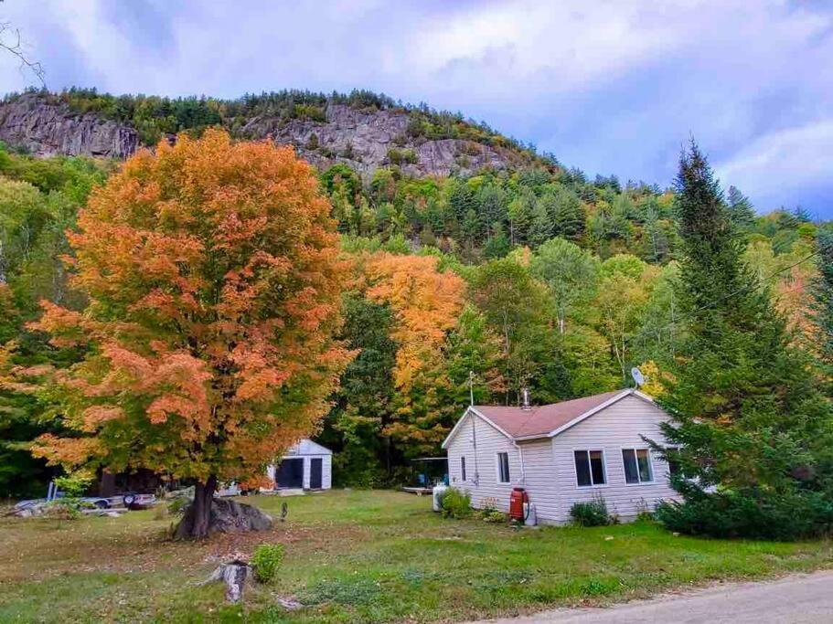 Chalet Falaise By Chalets Nabu Villa Saint-Alexis-des-Monts Exterior foto